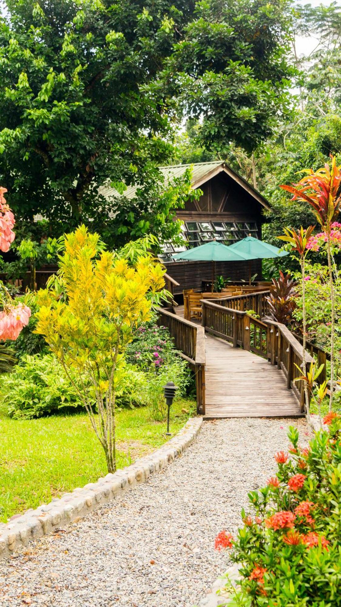 The Lodge & Spa At Pico Bonito El Pino Dış mekan fotoğraf