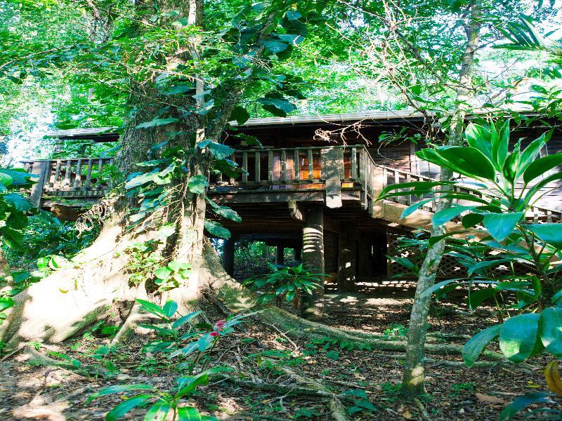The Lodge & Spa At Pico Bonito El Pino Dış mekan fotoğraf
